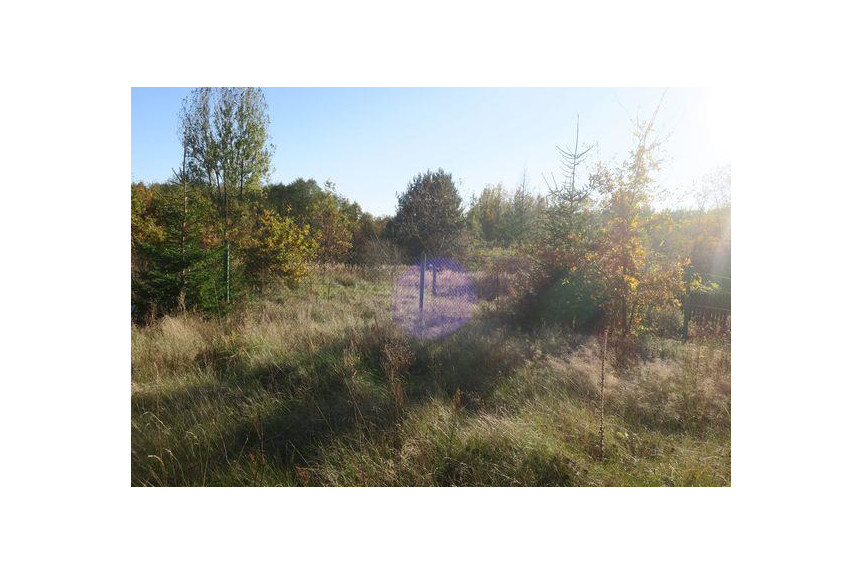 szydłowiecki, Chlewiska, Nadolna, Rekreacja, całoroczne zamieszkanie.