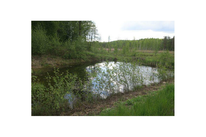 przysuski, Borkowice, Bryzg&oacute;w, Wieniawa, Okolica piękna, zielona, lasy, łąki. Cisza, spok&oacute;j. Drogi rowerowe, rzeczka Jabłonica.