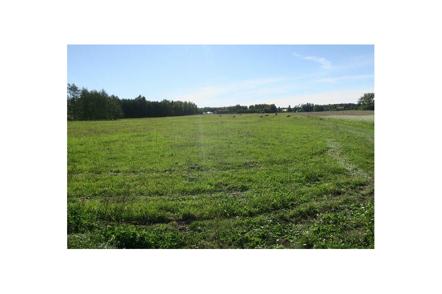 radomski, Jedlińsk, Wierzchowiny, Domek 62 m2.