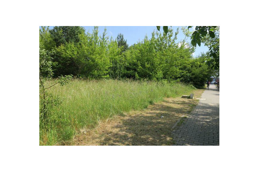 radomski, Skaryszew, Skaryszew-Miasto, Orzechowa, DZIAŁKI SKARYSZEW ul. Orzechowa