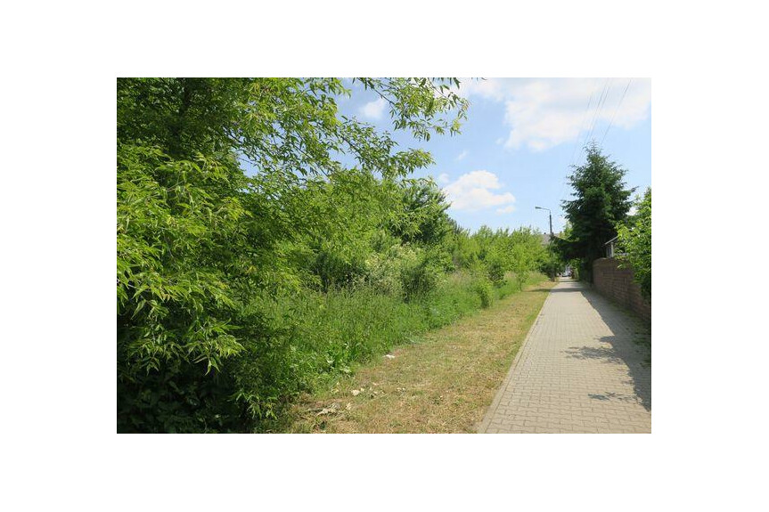 radomski, Skaryszew, Skaryszew-Miasto, Orzechowa, DZIAŁKI SKARYSZEW ul. Orzechowa