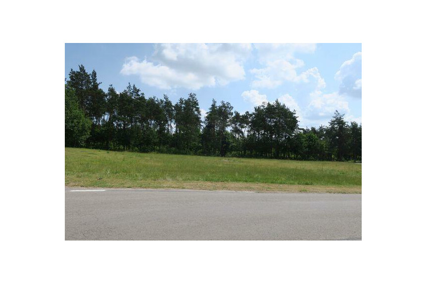 radomski, Skaryszew, Skaryszew-Miasto, Orzechowa, DZIAŁKI SKARYSZEW ul. Orzechowa