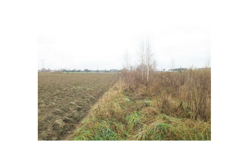 radomski, Wolan&oacute;w, Sławno, Jan&oacute;w, Działka na sprzedaż