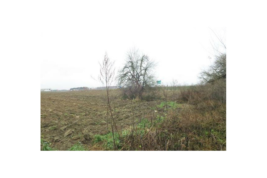 radomski, Wolan&oacute;w, Sławno, Jan&oacute;w, Działka na sprzedaż