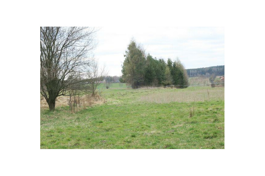 skarżyski, Skarżysko-Kamienna, Skarżysko Książęce, Rycerska, Działka na sprzedaż