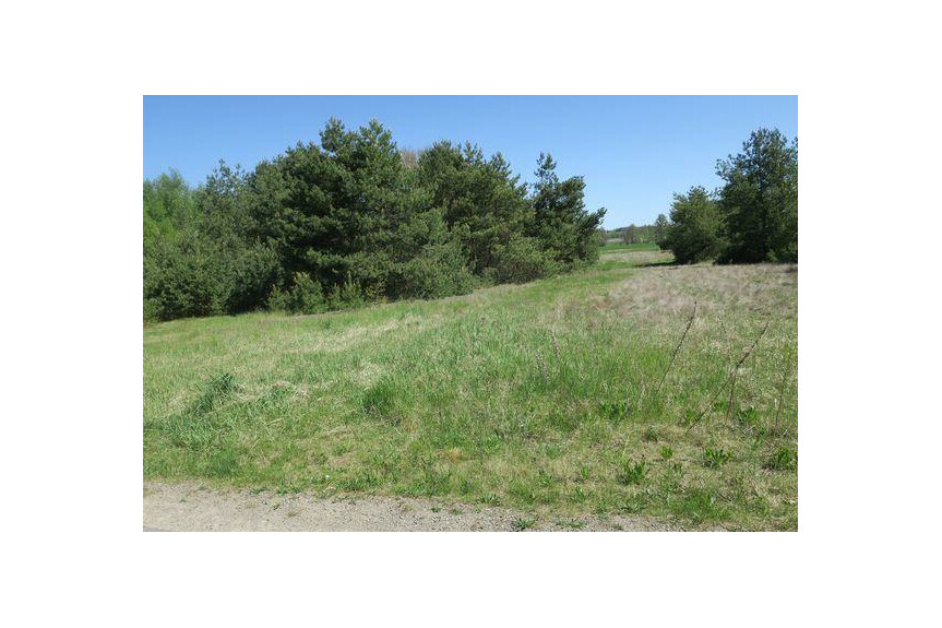 Mazowieckie, lipski, Ciepiel&oacute;w, Borowiec, Działka na sprzedaż