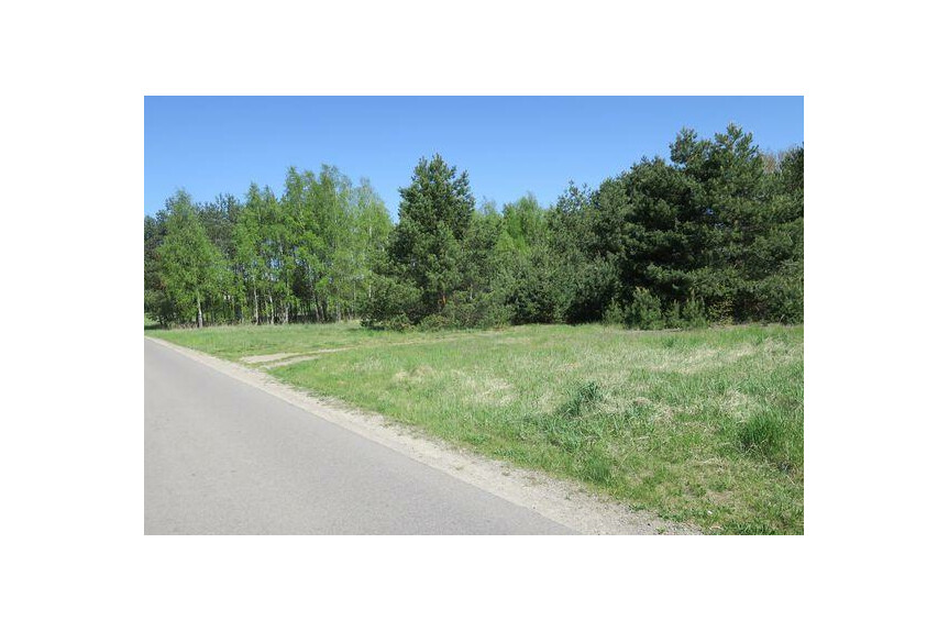 lipski, Ciepiel&oacute;w, Borowiec, Działka na sprzedaż