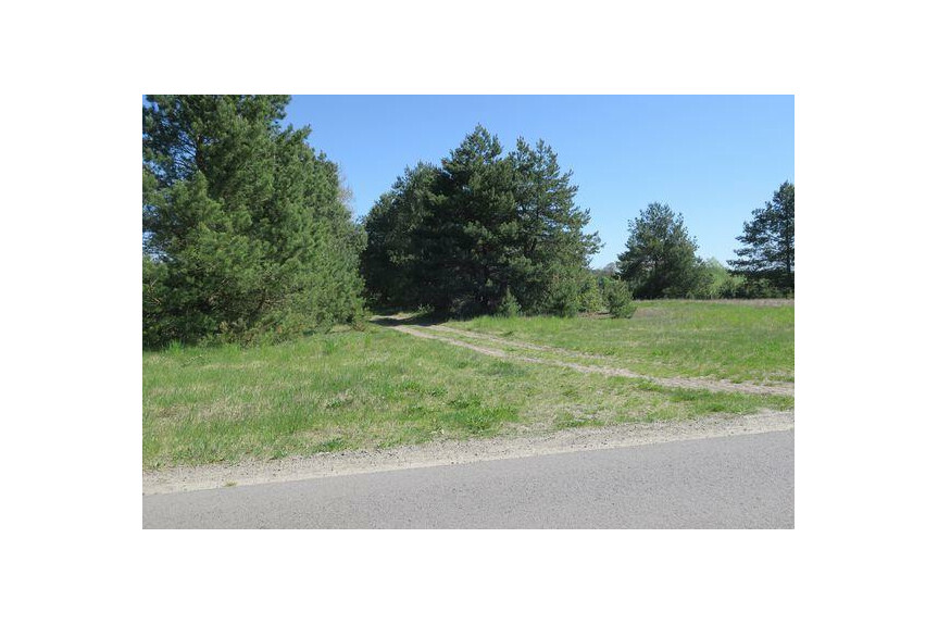 lipski, Ciepiel&oacute;w, Borowiec, Działka na sprzedaż