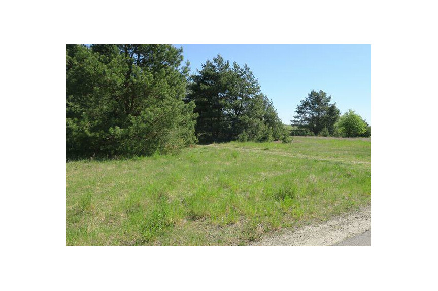 lipski, Ciepiel&oacute;w, Borowiec, Działka na sprzedaż