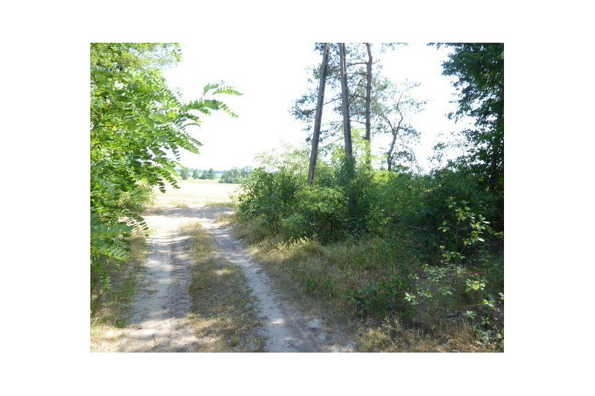 Mazowieckie, lipski, Ciepiel&oacute;w, Borowiec, Sprzedam działkę2,90 ha