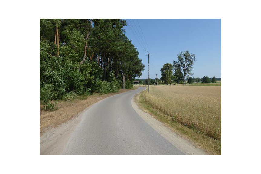 lipski, Ciepiel&oacute;w, Borowiec, Sprzedam działkę2,90 ha