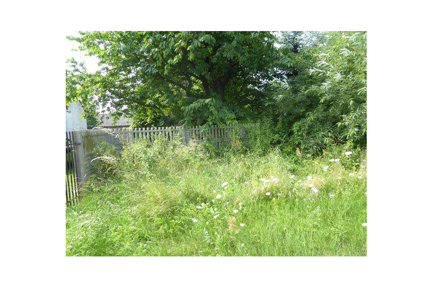 przysuski, Przysuski, Zbożenna, KUP BEZ PROWIZJI !!Zbożenna