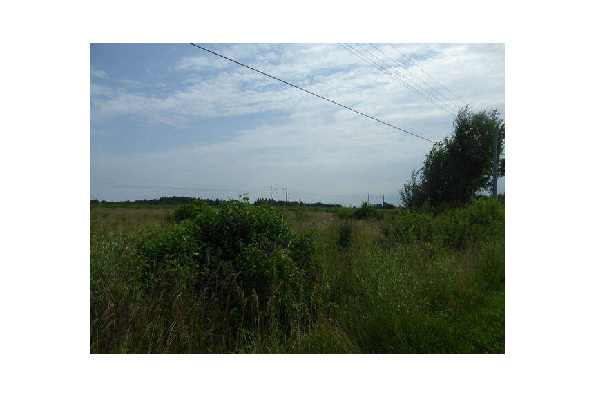 przysuski, Przysuski, Zbożenna, KUP BEZ PROWIZJI !!Zbożenna