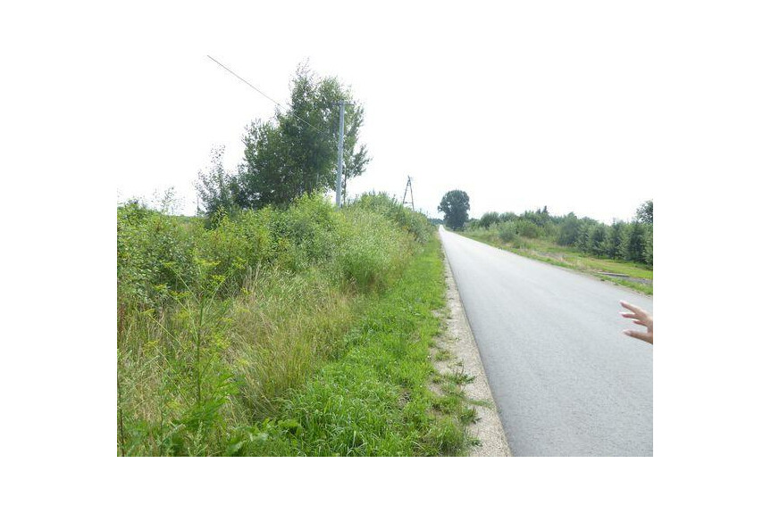 przysuski, Przysuski, Zbożenna, KUP BEZ PROWIZJI !!Zbożenna