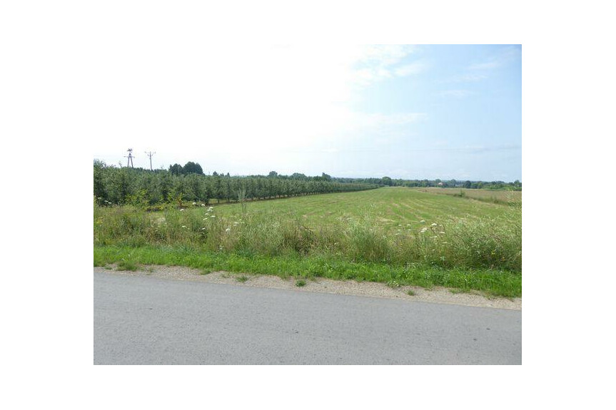 przysuski, Przysuski, Zbożenna, KUP BEZ PROWIZJI !!Zbożenna