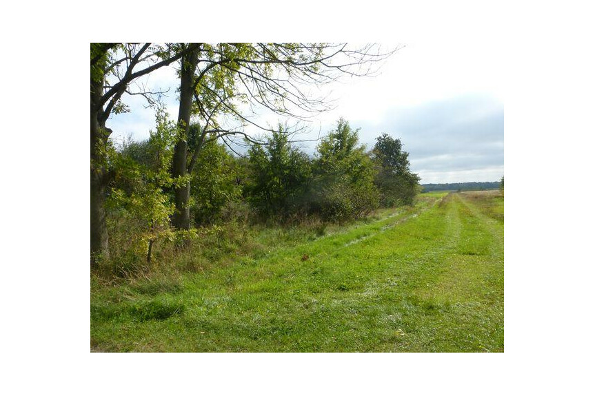 kozienicki, Głowacz&oacute;w, Kosny, Działka na sprzedaż