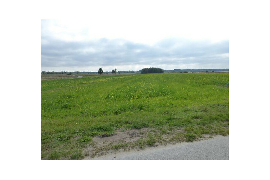 kozienicki, Głowacz&oacute;w, Kosny, Działka na sprzedaż