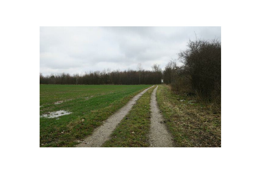 radomski, Wolan&oacute;w, Młodocin Większy, Dom na sprzedaż