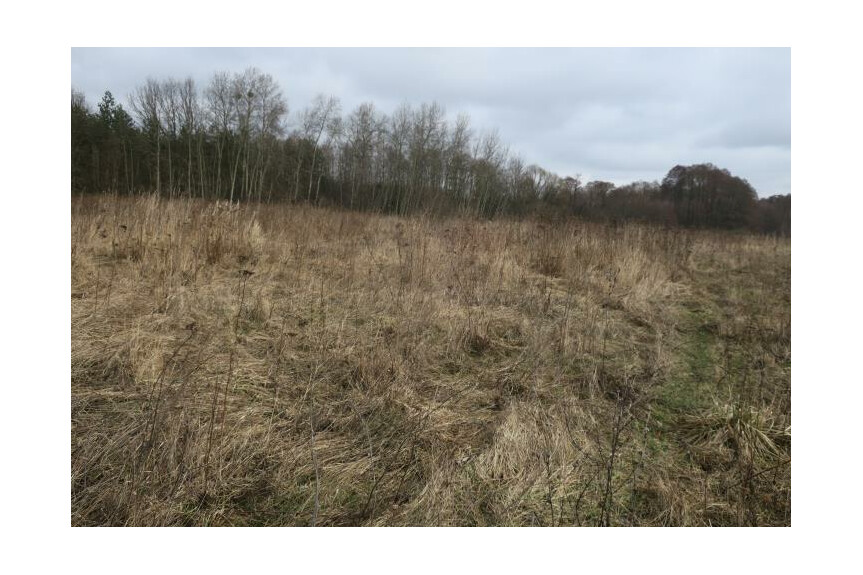 Mazowieckie, radomski, Wolan&oacute;w, Młodocin Większy, W pobliżu trasa szybkiego ruchu Warszawa Krak&oacute;w.