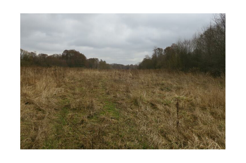 radomski, Wolan&oacute;w, Młodocin Większy, W pobliżu trasa szybkiego ruchu Warszawa Krak&oacute;w.