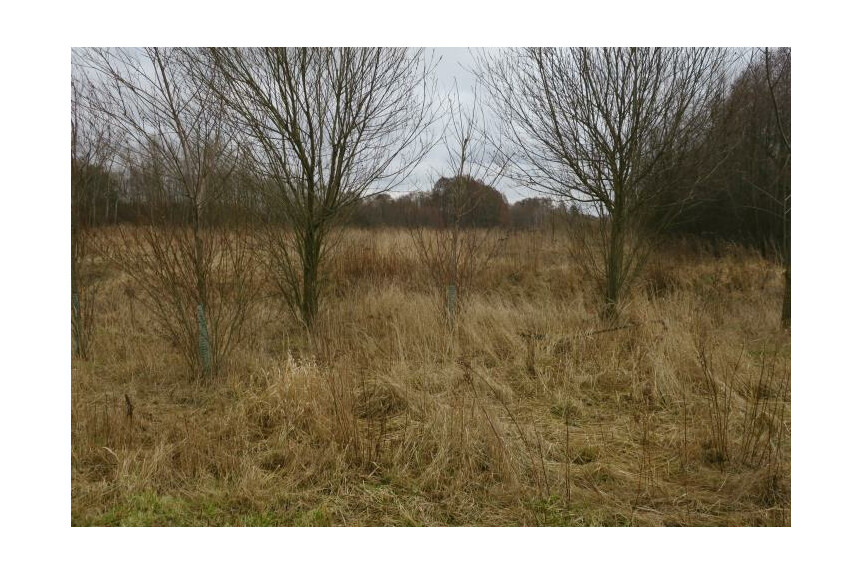 radomski, Wolan&oacute;w, Młodocin Większy, W pobliżu trasa szybkiego ruchu Warszawa Krak&oacute;w.