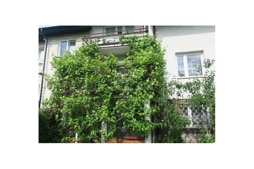 Radom, Kaptur, Zamłynie, Instalator&oacute;w, Nieruchomość do wprowadzenia.