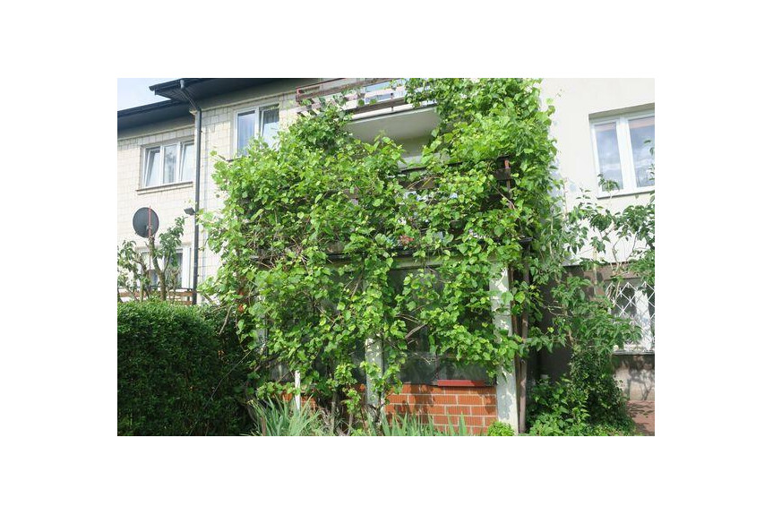 Radom, Kaptur, Zamłynie, Instalator&oacute;w, Nieruchomość do wprowadzenia.