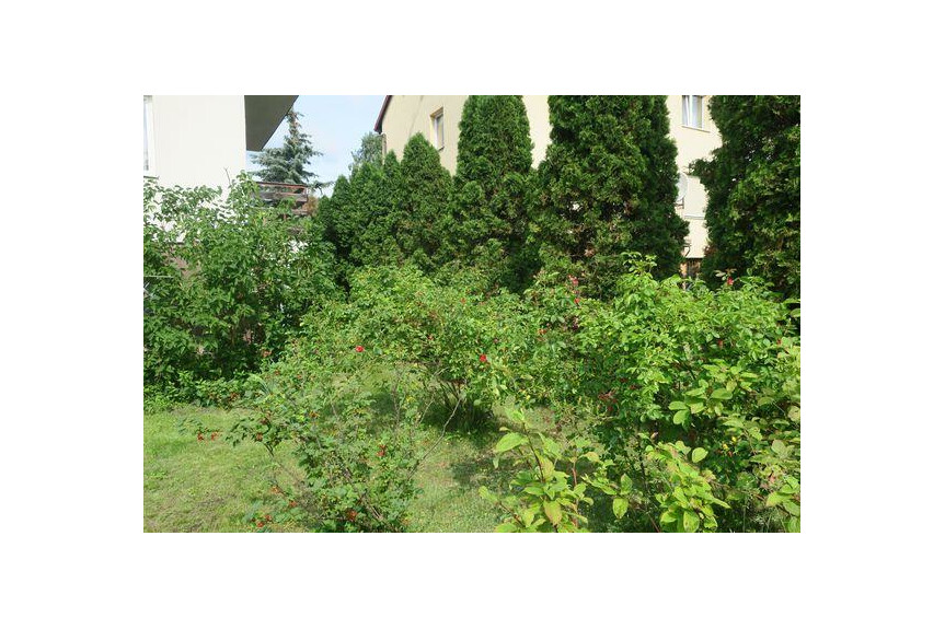 Radom, Kaptur, Zamłynie, Instalator&oacute;w, Nieruchomość do wprowadzenia.