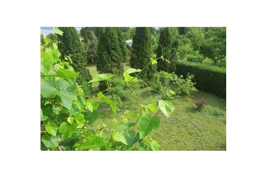 Radom, Kaptur, Zamłynie, Instalator&oacute;w, Nieruchomość do wprowadzenia.