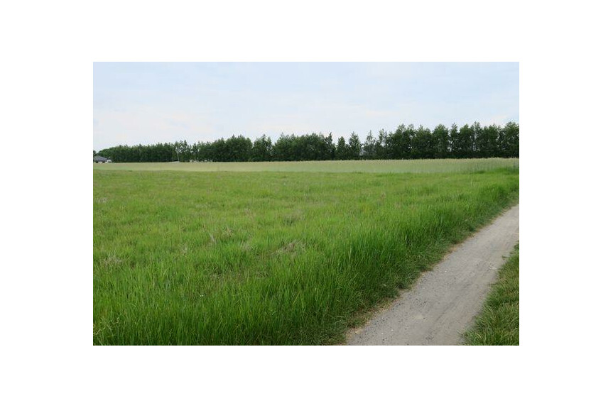 radomski, Skaryszew, Mak&oacute;w, MAK&Oacute;W 4 działki po 747 m2 Kup bez prowizji.