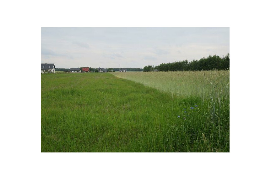 radomski, Skaryszew, Mak&oacute;w, MAK&Oacute;W 4 działki po 747 m2 Kup bez prowizji.