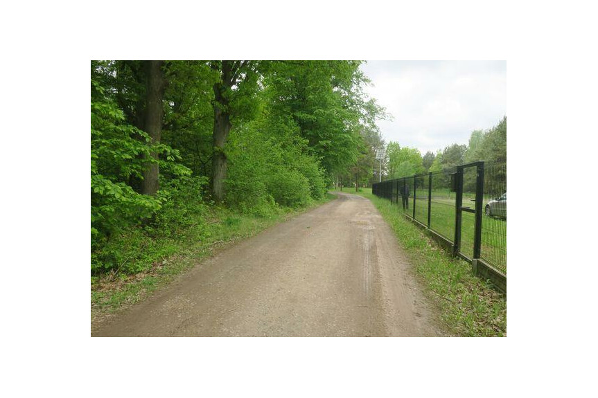 szydłowiecki, Szydłowiec, Szydł&oacute;wek, NOWY DOMEK POŁOŻONY POŚR&Oacute;D DRZEW, LASU.